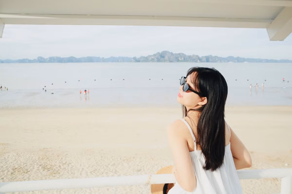 Sau khi check-in chiếc chòi trắng phong cách Hàn, du khách có thể kết hợp khám phá thêm nhiều điểm đến hấp dẫn ngay tại khu vực Bãi Cháy. Đầu tiên là phố cổ Sun World – không gian tái hiện Hội An và Hà Nội xưa với dãy nhà mái ngói vàng, đèn lồng rực rỡ và những quán cà phê đậm chất hoài cổ, rất thích hợp để chụp ảnh “deep” hoặc dạo chơi thư giãn. Tiếp đó, đừng bỏ lỡ cầu Bãi Cháy – cây cầu dây văng hiện đại bắc qua cửa ngõ vịnh Cửa Lục, nơi bạn có thể phóng tầm mắt ngắm trọn thành phố Hạ Long lung linh ánh đèn khi hoàng hôn buông xuống. Cuối ngày, hãy ghé qua chợ đêm Hạ Long, thiên đường ẩm thực đường phố với đủ món ngon từ chả mực, bánh cuốn đến đồ nướng hải sản, cùng các gian hàng lưu niệm đặc sản địa phương sôi động, nhộn nhịp. Ảnh 2 con gián Hà Nội