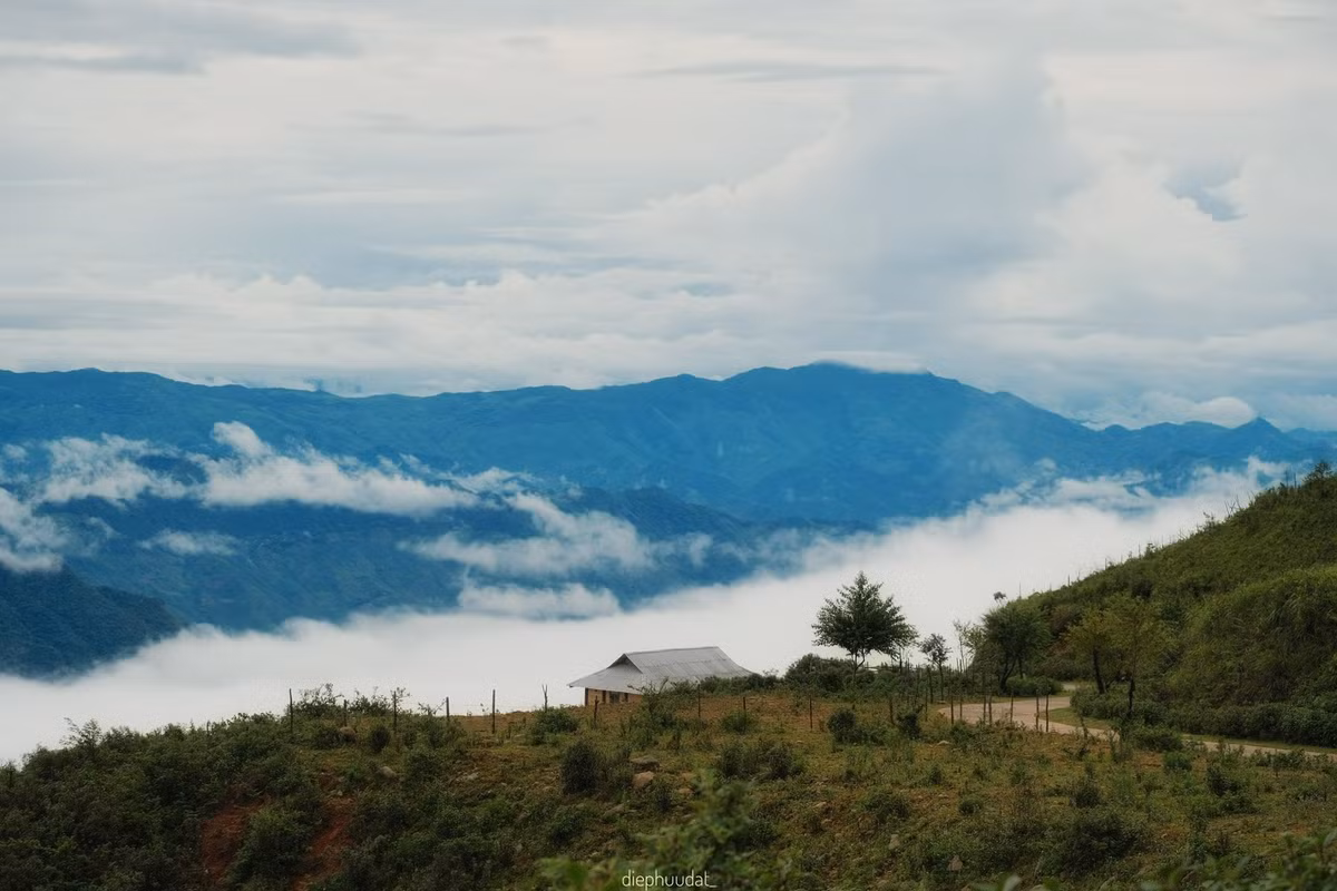 Sống lưng khủng long Háng Đồng là điểm săn mây lý tưởng giữa hai thung lũng sâu. Du khách còn có thể ngắm mây tại Đỉnh Gió, mỏm đá đầu rùa và cây táo cô đơn – những điểm check-in đặc trưng giữa khung cảnh hoang sơ. Ảnh Hữu Đạt