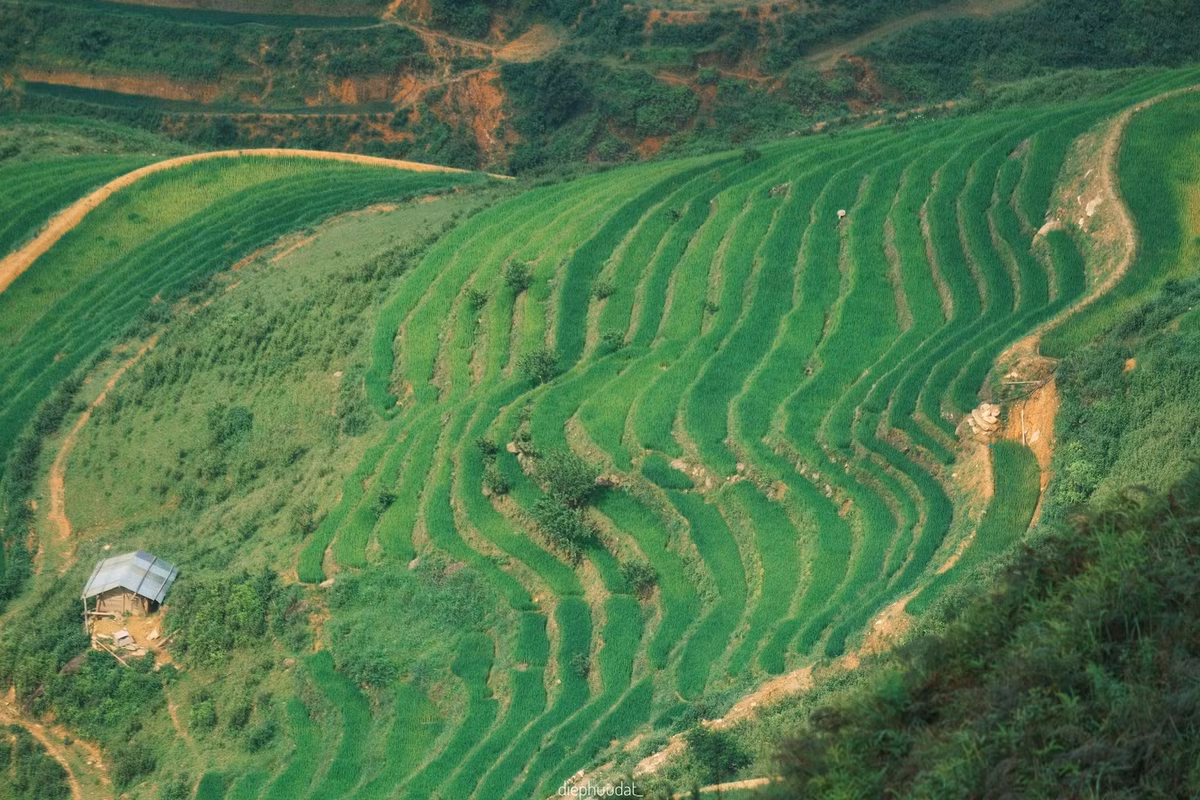Dịch vụ lưu trú tại Tà Xùa ngày càng phong phú, từ nhà sàn bản địa đến homestay hiện đại view núi. Một số địa chỉ được ưa chuộng như Ngáo Homestay, Tà Xùa Clouds hay Sống Lưng Homestay đều có dịch vụ ăn uống, BBQ buổi tối và không gian sinh hoạt chung ấm cúng. Ảnh Hữu Đạt