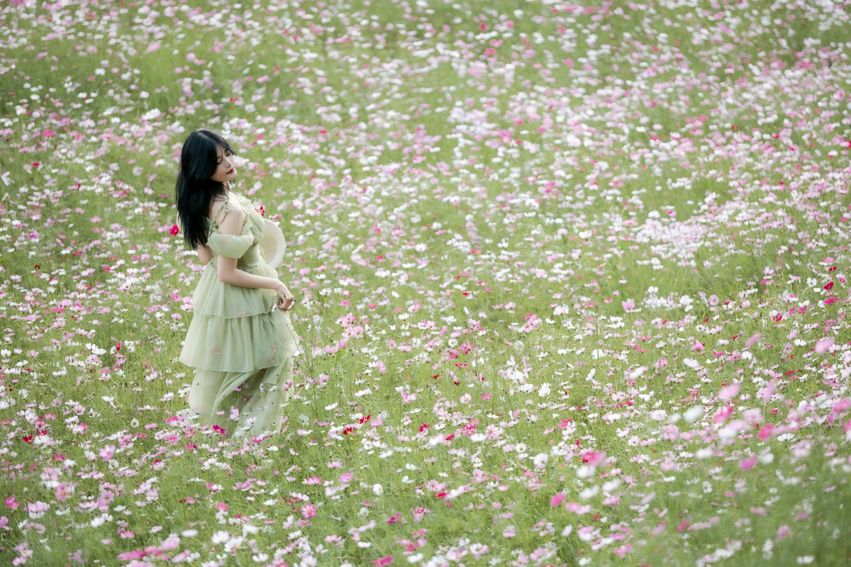 När säsongens första kalla vindar smyger sig genom sluttningarna och dimma täcker dalarna, tycks hela Moc Chau National Tourist Area ta på sig en ny kappa, mild men ändå full av charm. Foto av Dang Huu Tien