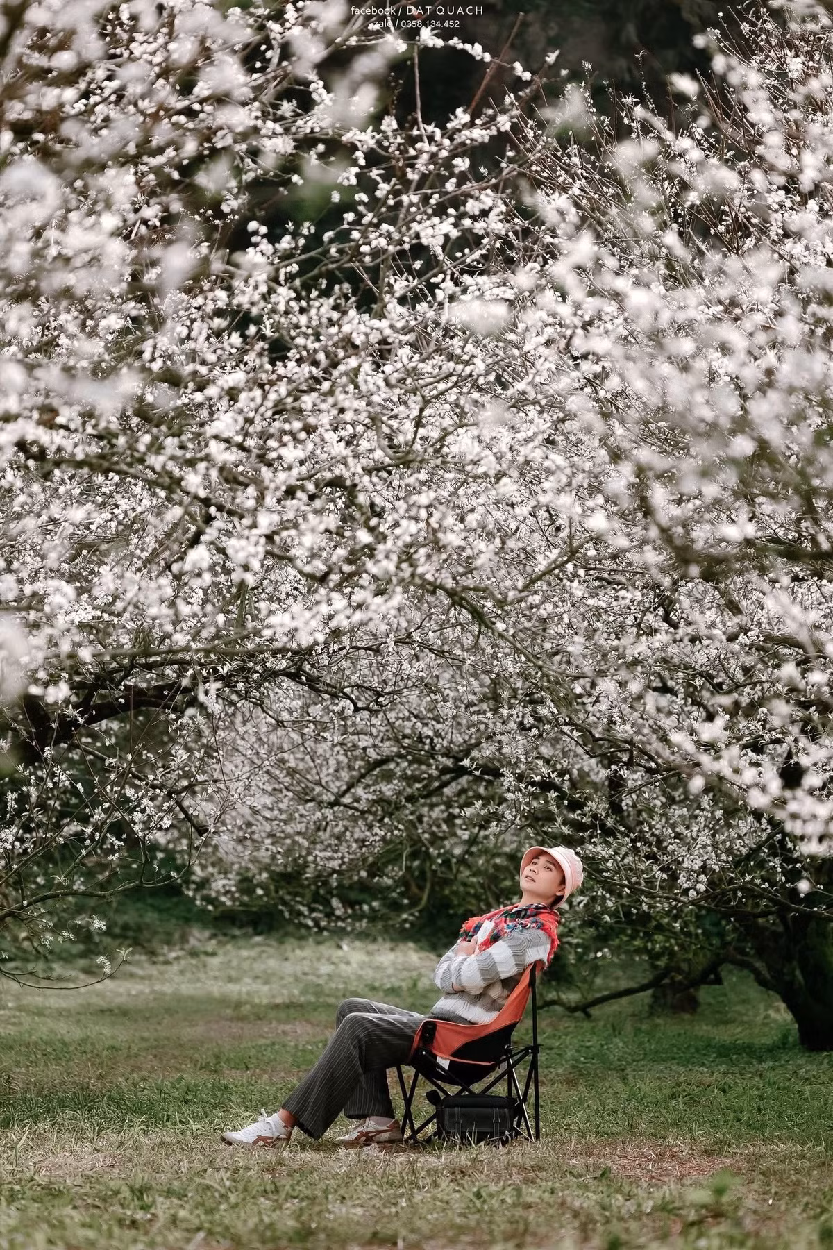 Một lưu ý quan trọng với du khách là hoa trái mùa rất nhanh tàn, thường chỉ giữ sắc từ 1-2 tuần trước khi chuyển đông với sương muối và mưa. Vì vậy, nếu muốn lưu giữ những khoảnh khắc tuyệt đẹp, du khách nên ghé thăm sớm. Không ít người chọn những cành hoa nhỏ ở vườn để mang về cắm, làm kỷ niệm cho chuyến đi. Ảnh DatQuach