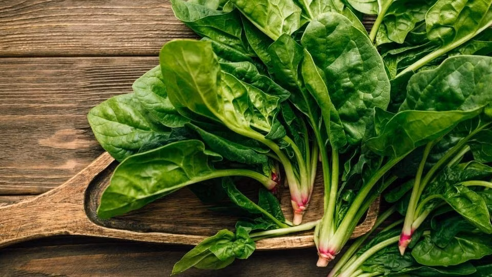 Trong số các loại rau được người Việt ưa chuộng, cải bó xôi là cái tên đứng đầu về khả năng hỗ trợ gan. Ảnh minh họa