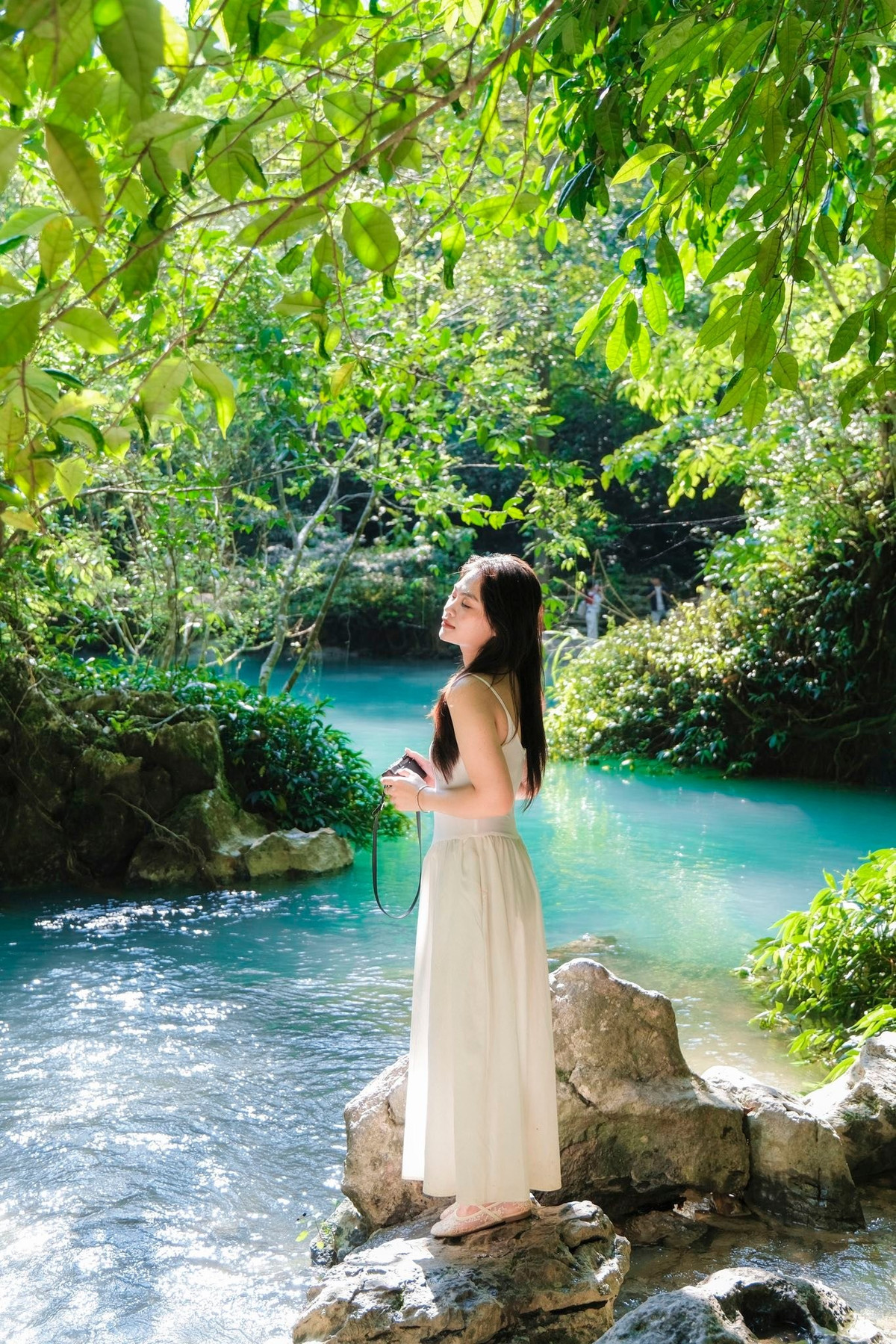 Mùa hè, ánh nắng vàng rực rỡ càng làm nổi bật sắc xanh ngọc bích của dòng suối, là thời điểm lý tưởng để chiêm ngưỡng trọn vẹn vẻ đẹp nơi đây. Sang thu đông, tiết trời se lạnh, cảnh quan yên bình, rất thích hợp cho những ai muốn tìm về sự trầm lắng, tĩnh tại giữa đại ngàn. Ảnh dicunglabo