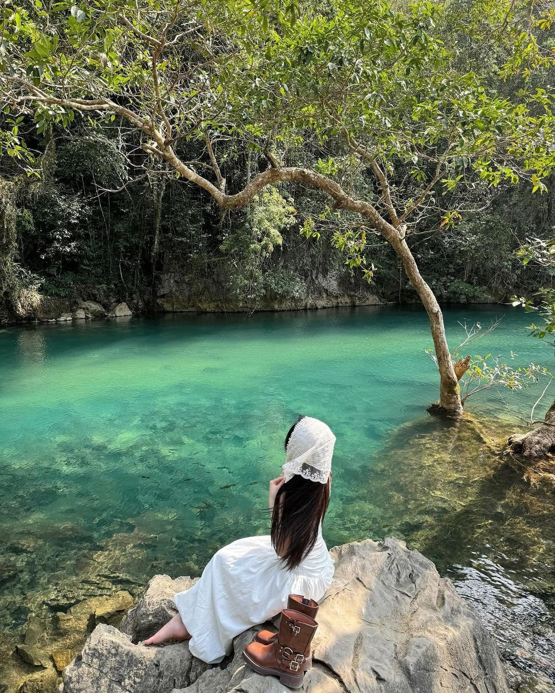 Không chỉ được chiêm ngưỡng cảnh sắc thiên nhiên và tìm hiểu lịch sử, du khách đến đây còn có cơ hội thưởng thức đặc sản Cao Bằng. Những món ăn mang đậm hương vị núi rừng như phở chua, bánh cuốn trứng, lạp sườn hun khói, xôi trám… thường để lại nhiều ấn tượng khó quên. Ảnh dicunglabo