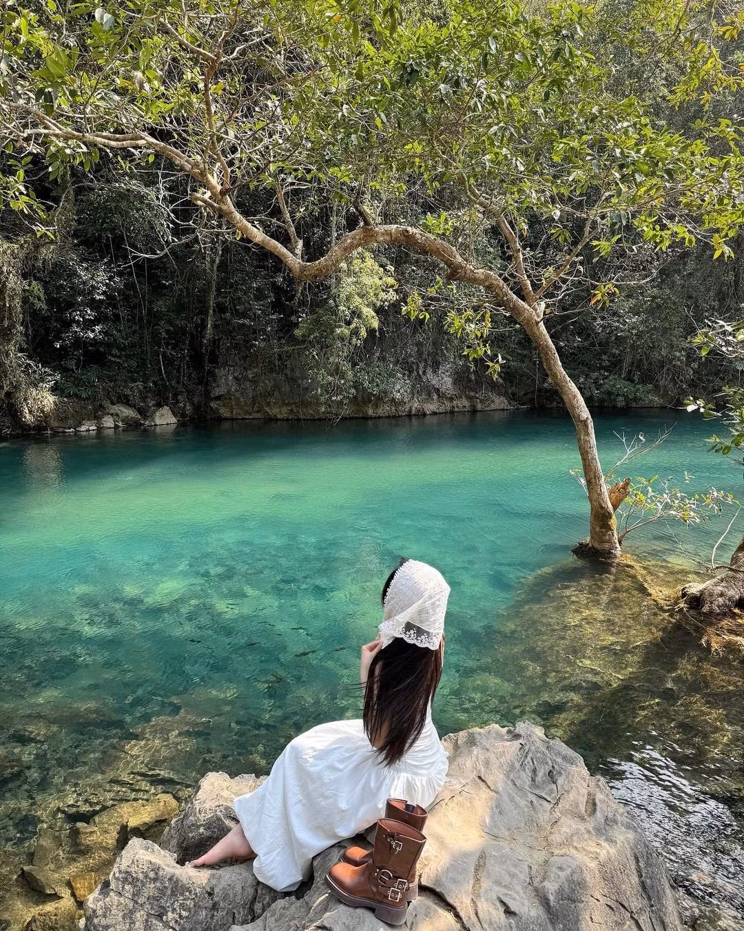 Không chỉ được chiêm ngưỡng cảnh sắc thiên nhiên và tìm hiểu lịch sử, du khách đến đây còn có cơ hội thưởng thức đặc sản Cao Bằng. Những món ăn mang đậm hương vị núi rừng như phở chua, bánh cuốn trứng, lạp sườn hun khói, xôi trám… thường để lại nhiều ấn tượng khó quên. Ảnh dicunglabo