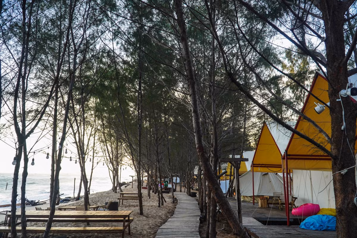 Điểm khiến Hồ Cốc ghi dấu ấn mạnh mẽ là khung cảnh thiên nhiên hài hòa giữa biển và rừng. Bãi biển nằm sát bìa rừng, được bao bọc bởi những hàng phi lao, hàng dương cao vút, xanh mát quanh năm. Ảnh Glamping Vivu24h Hồ Cốc