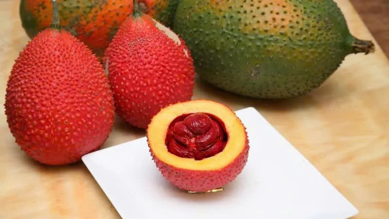 Trong dinh dưỡng truyền thống châu Á, gấc thường được dùng để hỗ trợ sức khỏe tim mạch và chuyển hóa. Khi được sử dụng với lượng hợp lý, gấc giúp tăng tổng lượng carotenoid trong khẩu phần, từ đó góp phần hỗ trợ kiểm soát mỡ nội tạng. Ảnh minh họa