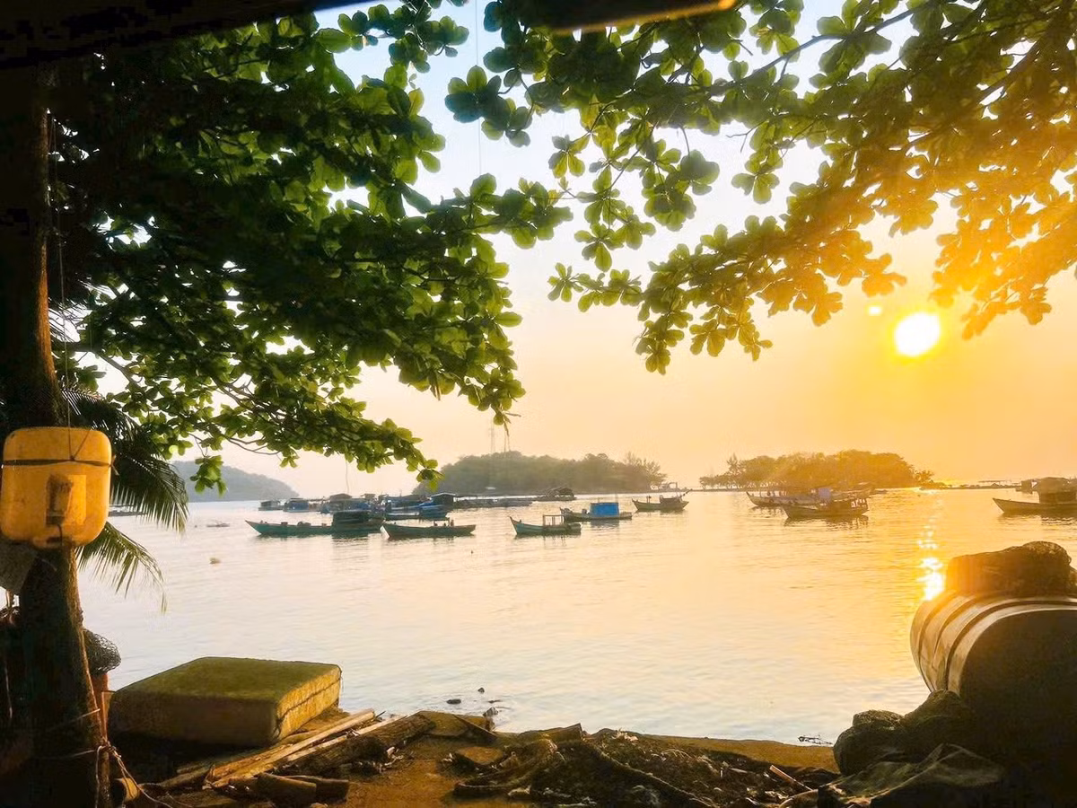 Đến đảo, ngoài tắm biển, lặn ngắm san hô hay dạo quanh bãi đá, du khách còn có thể thử trải nghiệm câu cá cùng ngư dân, thưởng thức hải sản tươi sống vừa đánh bắt – từ ghẹ hấp, nhum nướng đến mực trứng chiên nước mắm. Cảm giác ăn một bữa cơm dân dã bên bờ biển, trước mặt là hoàng hôn đỏ rực, sau lưng là rặng dừa xào xạc gió, khiến ai cũng khó quên.