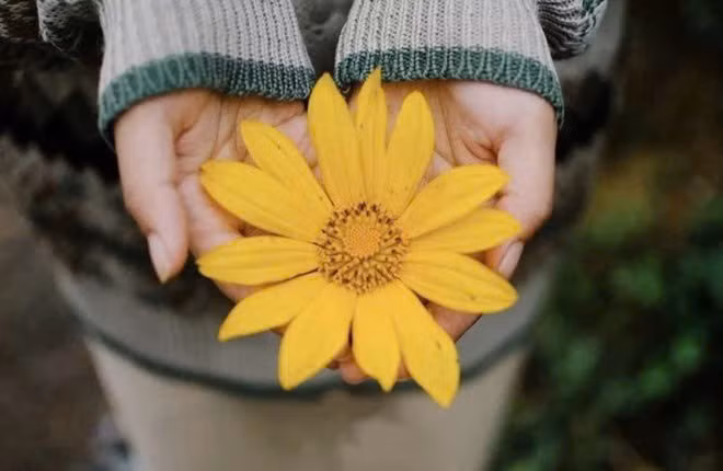 Để chuyến đi trọn vẹn, du khách nên chuẩn bị trang phục phù hợp, mang theo áo khoác vì thời tiết trên núi có thể lạnh hơn nhiều so với đồng bằng. Giày thể thao hoặc giày đế thấp sẽ giúp việc di chuyển dễ dàng hơn trên các đoạn đường dốc. Bên cạnh đó, đừng quên mang theo nước uống, đồ ăn nhẹ và túi đựng rác, tuyệt đối không hái hoa hay giẫm lên các khu vực trồng hoa để giữ gìn cảnh quan tự nhiên. Ảnh wecheckin