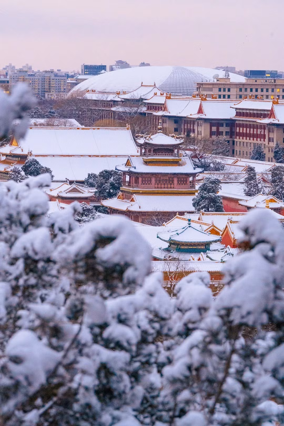 Bên cạnh sự háo hức, các cơ quan chức năng địa phương cũng khuyến cáo du khách chú ý an toàn khi di chuyển trong điều kiện băng tuyết. Nhiệt độ xuống thấp khiến đường trơn trượt, đặc biệt tại những khu vực có bậc thang hoặc mặt đá. Du khách được khuyên nên sử dụng giày chống trượt, mặc nhiều lớp áo giữ ấm và theo dõi dự báo thời tiết qua các ứng dụng chính thức. Hệ thống tàu điện ngầm hoạt động ổn định, trong khi xe buýt và taxi có thể chậm trễ do một số tuyến đường bị ùn ứ. Ảnh Fanpage Du lịch Phượng Hoàng