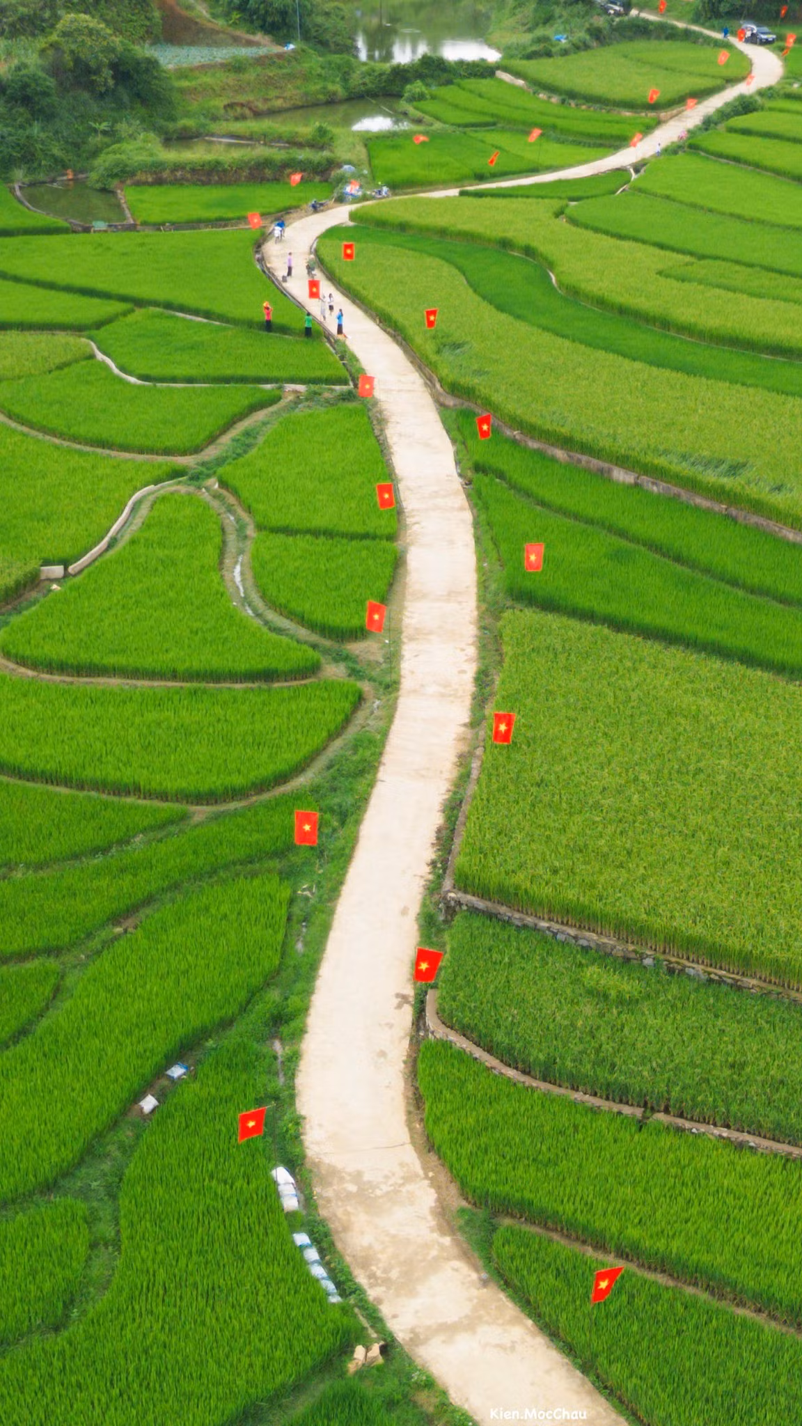 Thời điểm lý tưởng để chụp ảnh là vào buổi sáng từ 7-10h và buổi chiều từ 14-17h, khi ánh nắng dịu nhẹ, màu xanh của bầu trời hòa cùng màu lúa, làm nổi bật sắc đỏ rực rỡ của lá cờ. Ảnh Quang Kiên