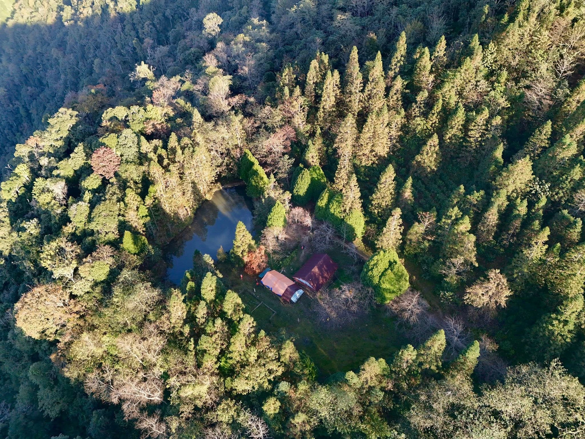 A Tay Con Linh, más néven az „Északkelet teteje”, mindig is álom úti cél volt azok számára, akik szeretik a túrázást és a vad természet felfedezését.