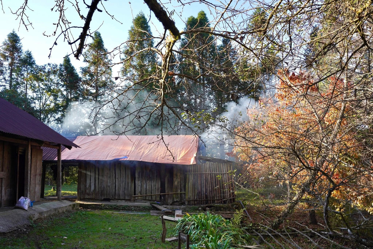 Mindeközben, novembertől januárig tartó túrázás során a hegyek új köntösbe öltöznek a virágzó náddal, a vad napraforgókkal és a rododendronokkal, élénk és színes látványt teremtve. A csúcson töltött hideg, jeges vagy havas napok még fenségesebbé és emlékezetesebbé teszik az utazást.