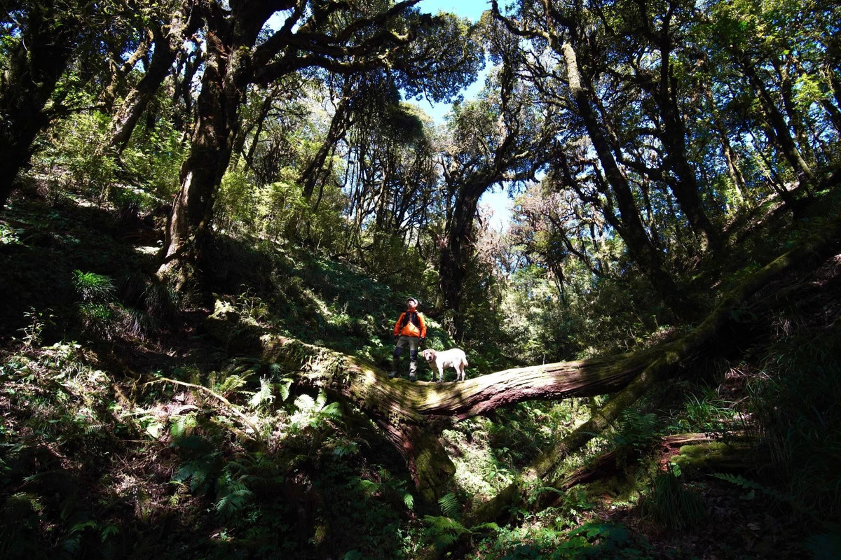 A hegy lábánál él a La Chi etnikai csoport, amely egyedülálló kulturális élményt nyújt a felfedezőút során.