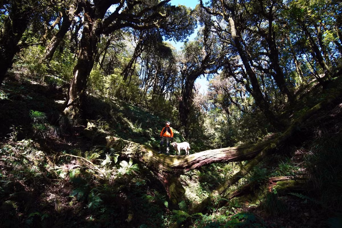 Chân núi là nơi sinh sống của đồng bào dân tộc La Chí, mang đến nét văn hóa đặc trưng trong suốt hành trình khám phá.