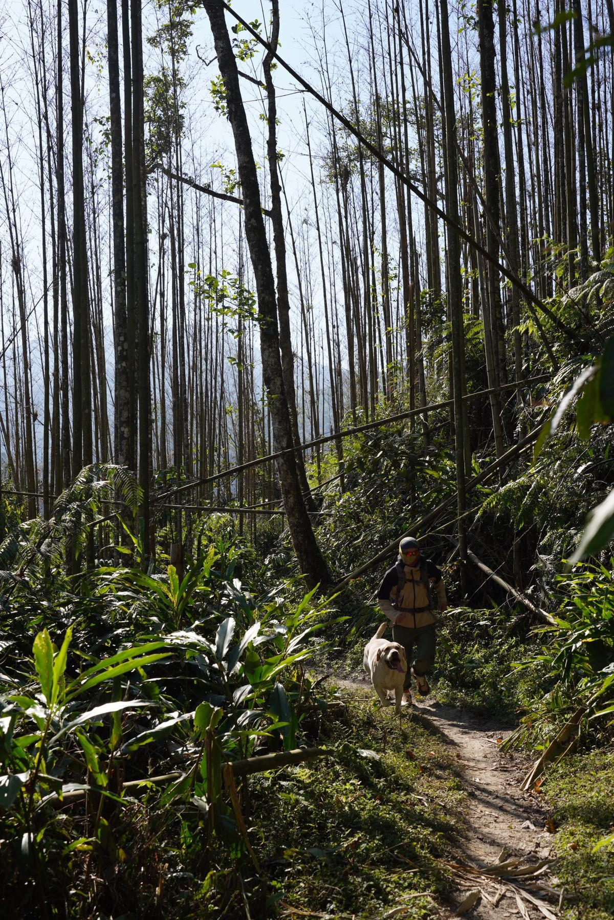 A szeptembertől a következő év áprilisáig tartó időszak ideálisnak tekinthető a túrázáshoz. Szeptemberben a látogatók felhőket vadászhatnak a csúcson – ahol a felhők úgy lebegnek, mintha csak kinyújtaná a kezét és megérintené őket. Ez egyben az érett rizs szezonja is az északkeleti felföldeken, amely aranyló teraszos mezőkön húzódik, és a szélben lobogó rizs illatát hordozza.