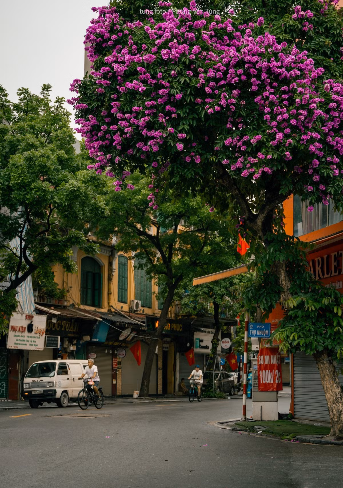 Trên khắp các con phố như Kim Mã, Hoàng Diệu, Nguyễn Du, Phan Đình Phùng, Lý Thường Kiệt, sắc tím của bằng lăng phủ đầy những tán cây cao vút, xen lẫn nền trời xanh biếc mùa hạ. Ảnh Phùng Văn Tùng