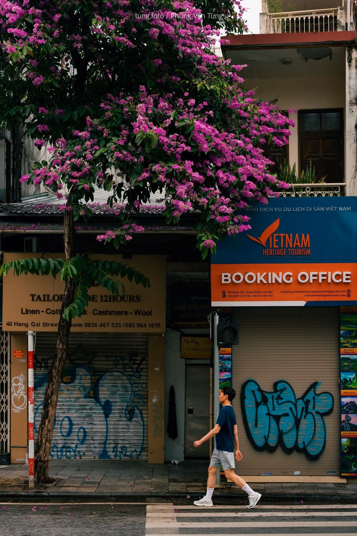 Mỗi bông hoa khi nở xòe rộng và được tạo thành từ 6 cánh hoa mỏng, nhẹ như xác pháo. Ảnh Phùng Văn Tùng