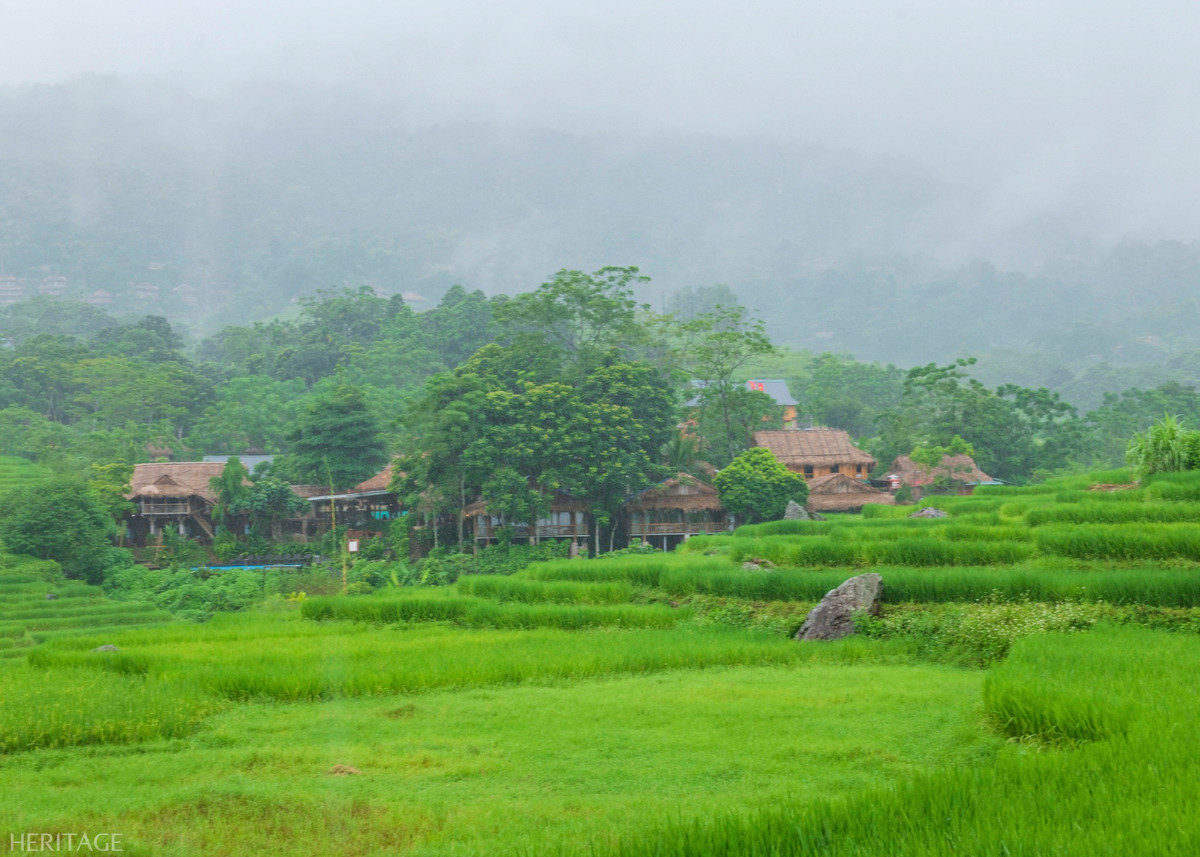 Khi nhìn từ trên cao, Pù Luông hiện ra như một bức tranh thủy mặc: bản làng chìm trong biển sương trắng, xen kẽ những thửa ruộng bậc thang uốn lượn, tạo cảm giác vừa hùng vĩ vừa nên thơ. Ảnh Đào Cảnh