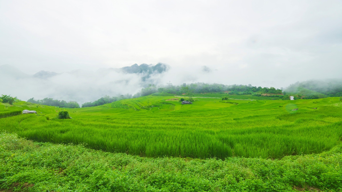 Không chỉ hấp dẫn du khách trong nước, Pù Luông còn là điểm nghỉ dưỡng lý tưởng cho khách quốc tế nhờ khí hậu mát mẻ, không gian yên tĩnh và các trải nghiệm văn hóa độc đáo. Ảnh Đào Cường