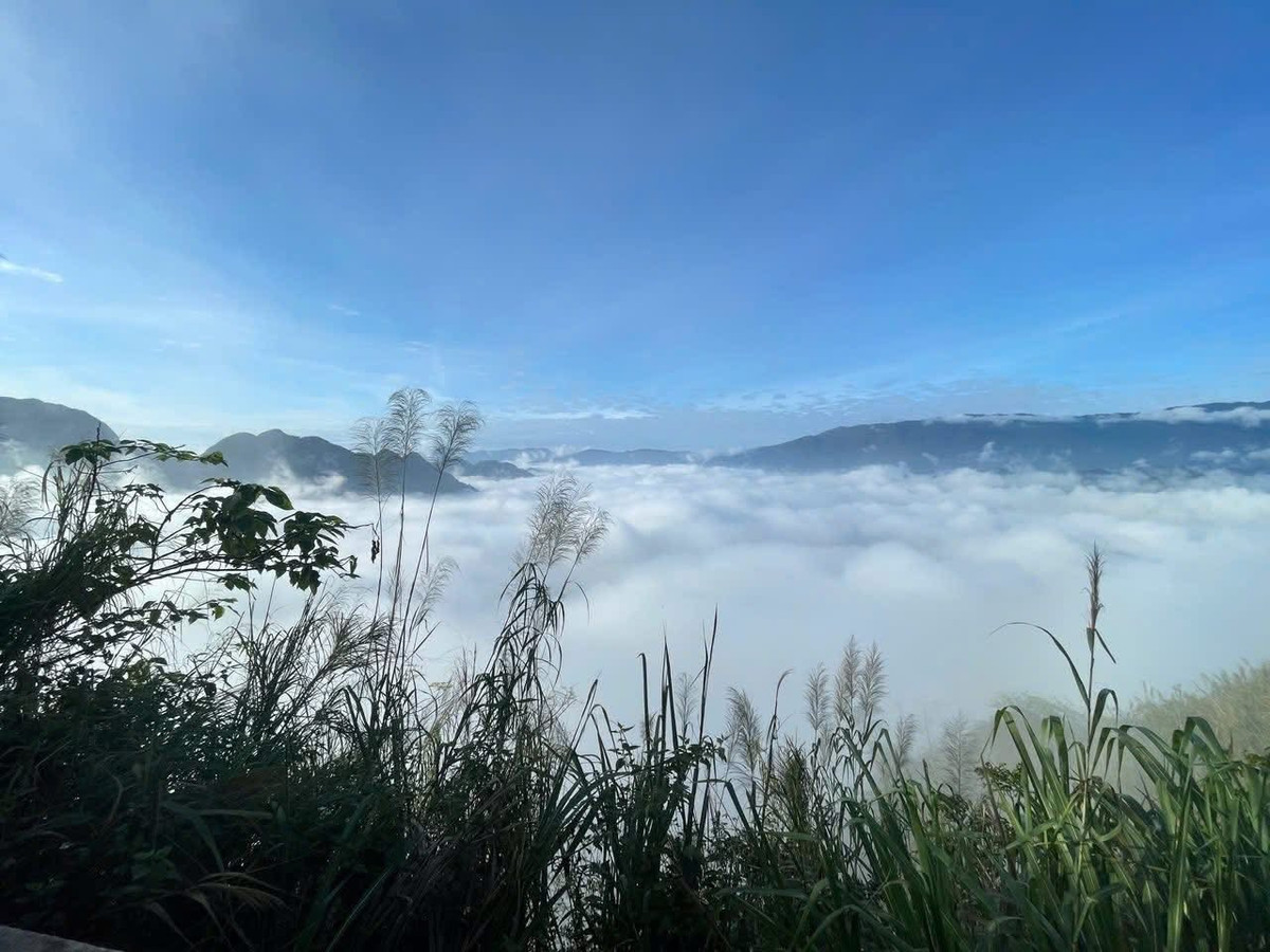 Theo người dân địa phương, năm nay sương mù xuất hiện sớm hơn mọi năm, mang đến khung cảnh lý tưởng cho những ai yêu thích trải nghiệm săn mây. Ảnh Internet