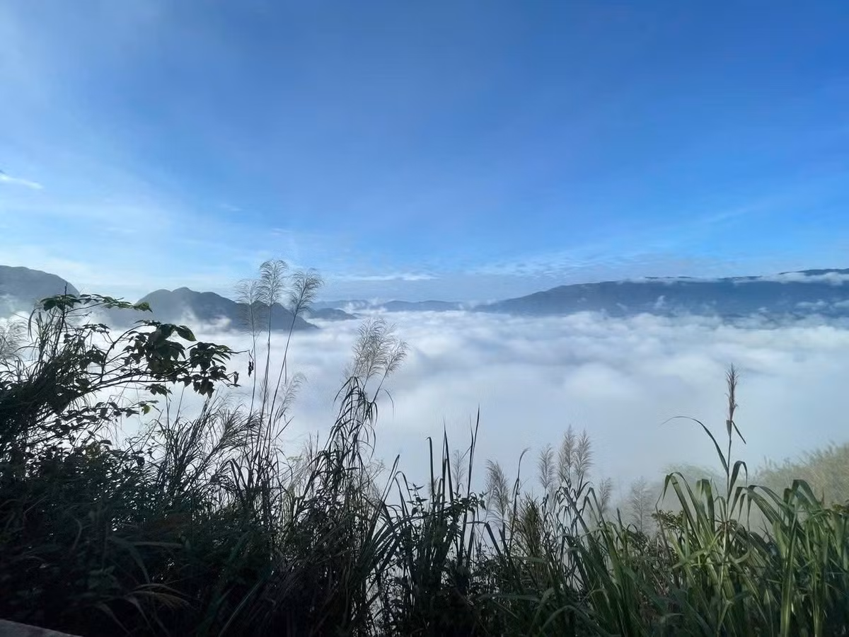 Theo người dân địa phương, năm nay sương mù xuất hiện sớm hơn mọi năm, mang đến khung cảnh lý tưởng cho những ai yêu thích trải nghiệm săn mây. Ảnh Internet