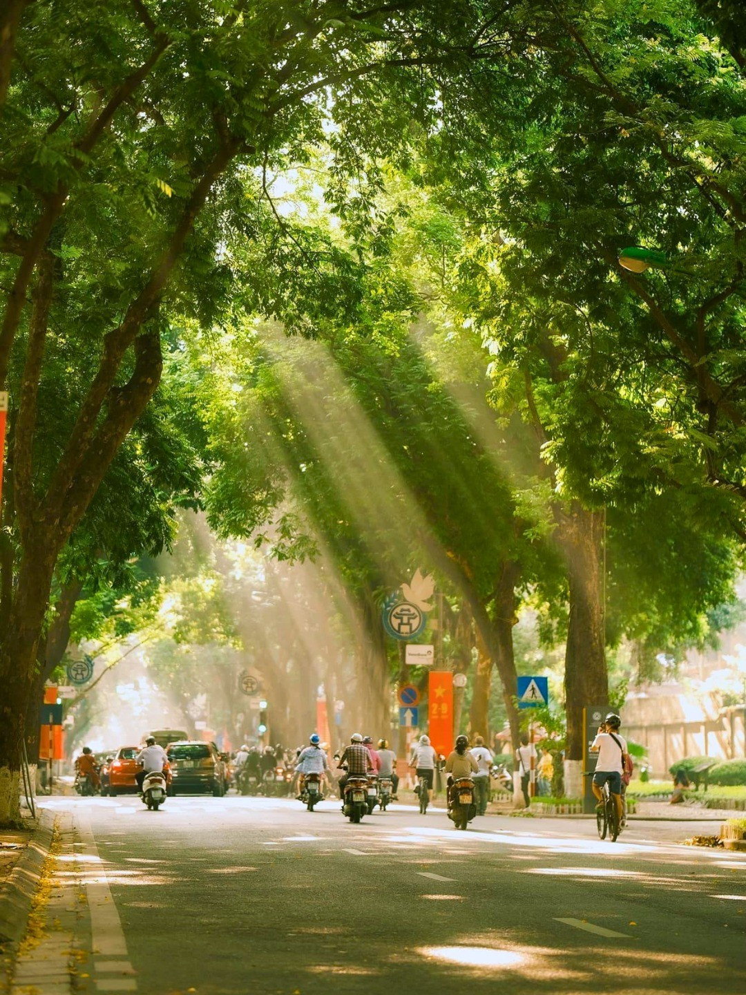 Ảnh Halo Hà Nội mua-thu-ha-noi.jpg