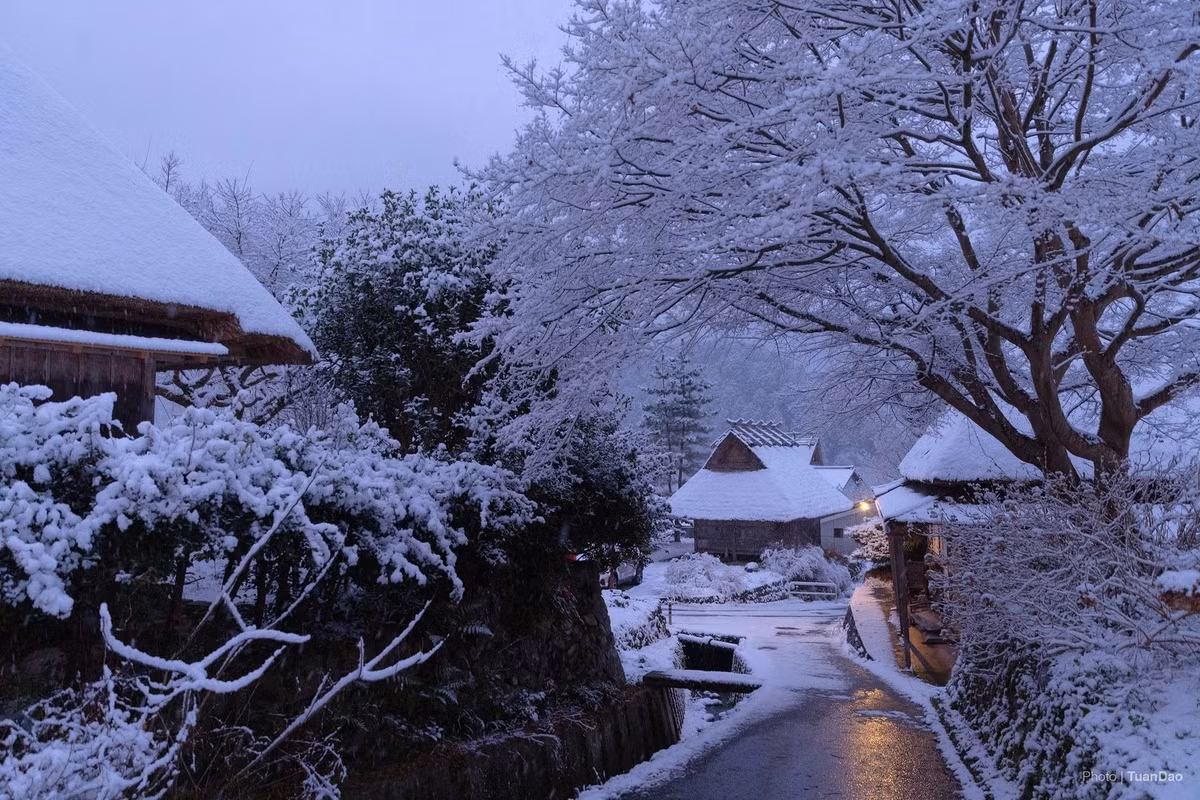Do vị trí khá xa trung tâm Kyoto và giao thông công cộng hạn chế vào mùa tuyết, nhiều du khách lựa chọn tour trọn gói trong ngày để đến Kayabuki no Sato. Khảo sát trên các nền tảng lữ hành quốc tế cho thấy, tour tham quan làng cổ này chủ yếu khởi hành từ Osaka hoặc Kyoto, thời gian từ 7–10 tiếng.
