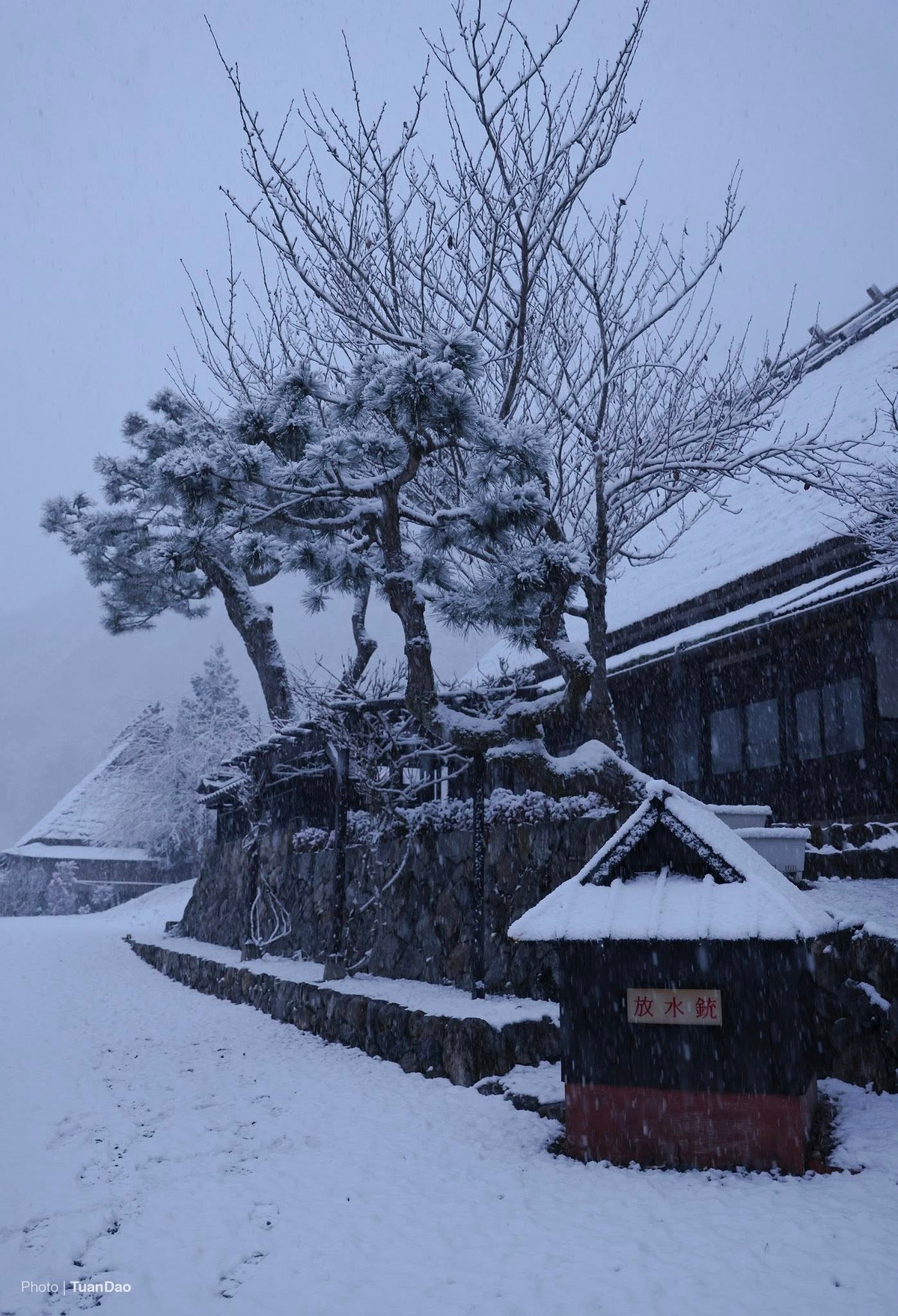 Ở phân khúc cao hơn, một số công ty lữ hành tại Việt Nam đưa Kayabuki no Sato vào tour Nhật Bản 5–6 ngày, kết hợp tham quan Osaka – Kyoto – Kobe hoặc trượt tuyết mùa đông. Giá tour trọn gói (đã bao gồm vé máy bay, khách sạn, ăn uống) thường từ 28–35 triệu đồng/người, tùy thời gian khởi hành và dịch vụ đi kèm.