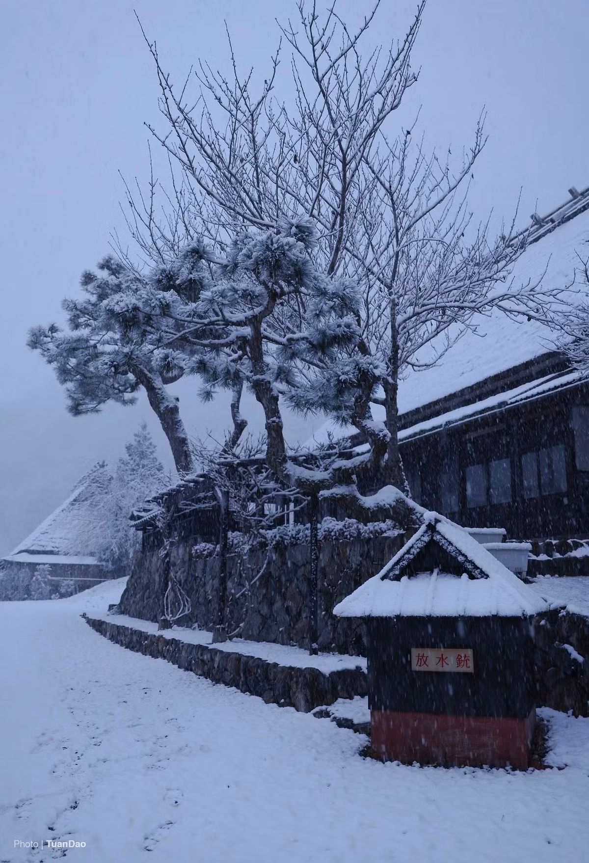 Ở phân khúc cao hơn, một số công ty lữ hành tại Việt Nam đưa Kayabuki no Sato vào tour Nhật Bản 5–6 ngày, kết hợp tham quan Osaka – Kyoto – Kobe hoặc trượt tuyết mùa đông. Giá tour trọn gói (đã bao gồm vé máy bay, khách sạn, ăn uống) thường từ 28–35 triệu đồng/người, tùy thời gian khởi hành và dịch vụ đi kèm.