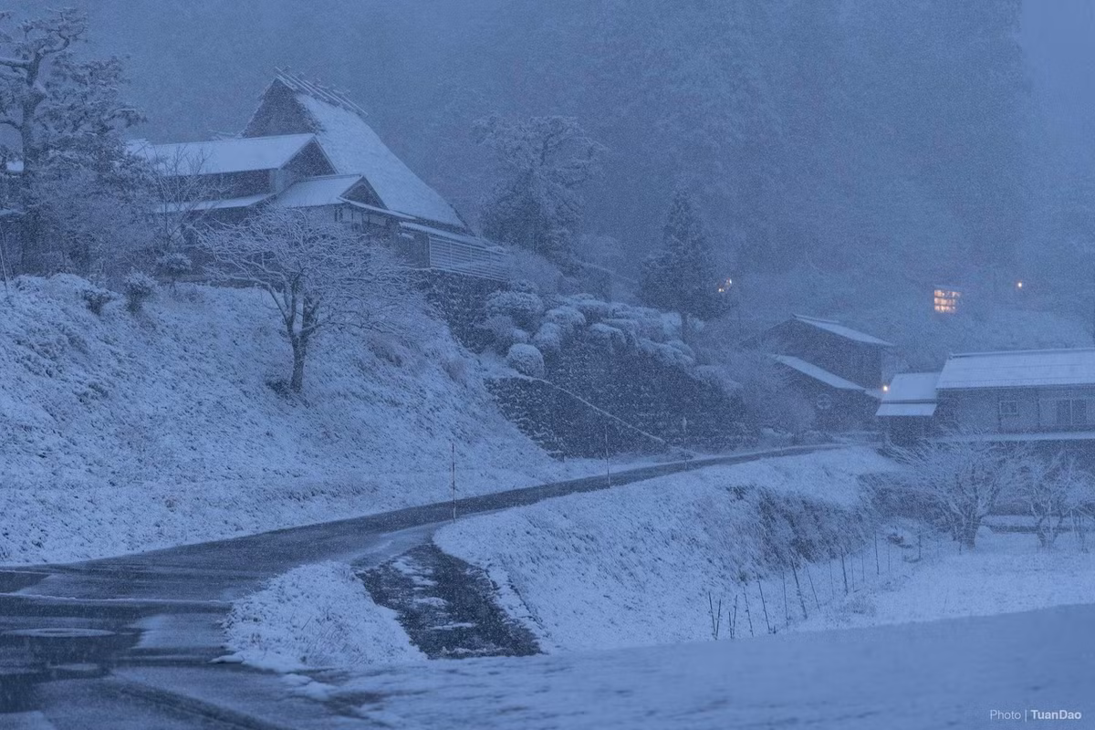 Phổ biến nhất là tour Kayabuki no Sato 1 ngày kết hợp lễ hội đèn tuyết, do các đơn vị như Klook hoặc KKday tổ chức. Tour thường bao gồm xe buýt khứ hồi, hướng dẫn viên và vé tham quan, với mức giá dao động khoảng 11.000–13.000 yên/người, tương đương 1,9–2,3 triệu đồng, tùy thời điểm và chương trình cụ thể. Đây là lựa chọn phù hợp với du khách muốn trải nghiệm trọn vẹn không khí mùa đông và sự kiện đặc sắc của làng.
