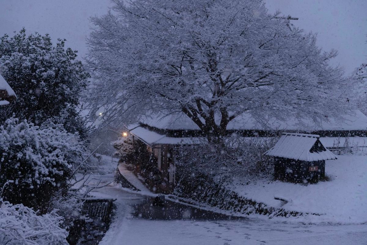 Điểm nhấn đặc biệt của Kayabuki no Sato vào mùa đông là lễ hội đèn lồng tuyết (Snow Lantern Festival), thường diễn ra vào cuối tháng 1 hoặc đầu tháng 2. Hàng trăm chiếc đèn lồng tuyết được thắp sáng khắp làng khi màn đêm buông xuống, tạo nên không gian lung linh, huyền ảo. Đây cũng là thời điểm lượng du khách tăng cao, nhất là những người yêu nhiếp ảnh và trải nghiệm văn hóa bản địa.