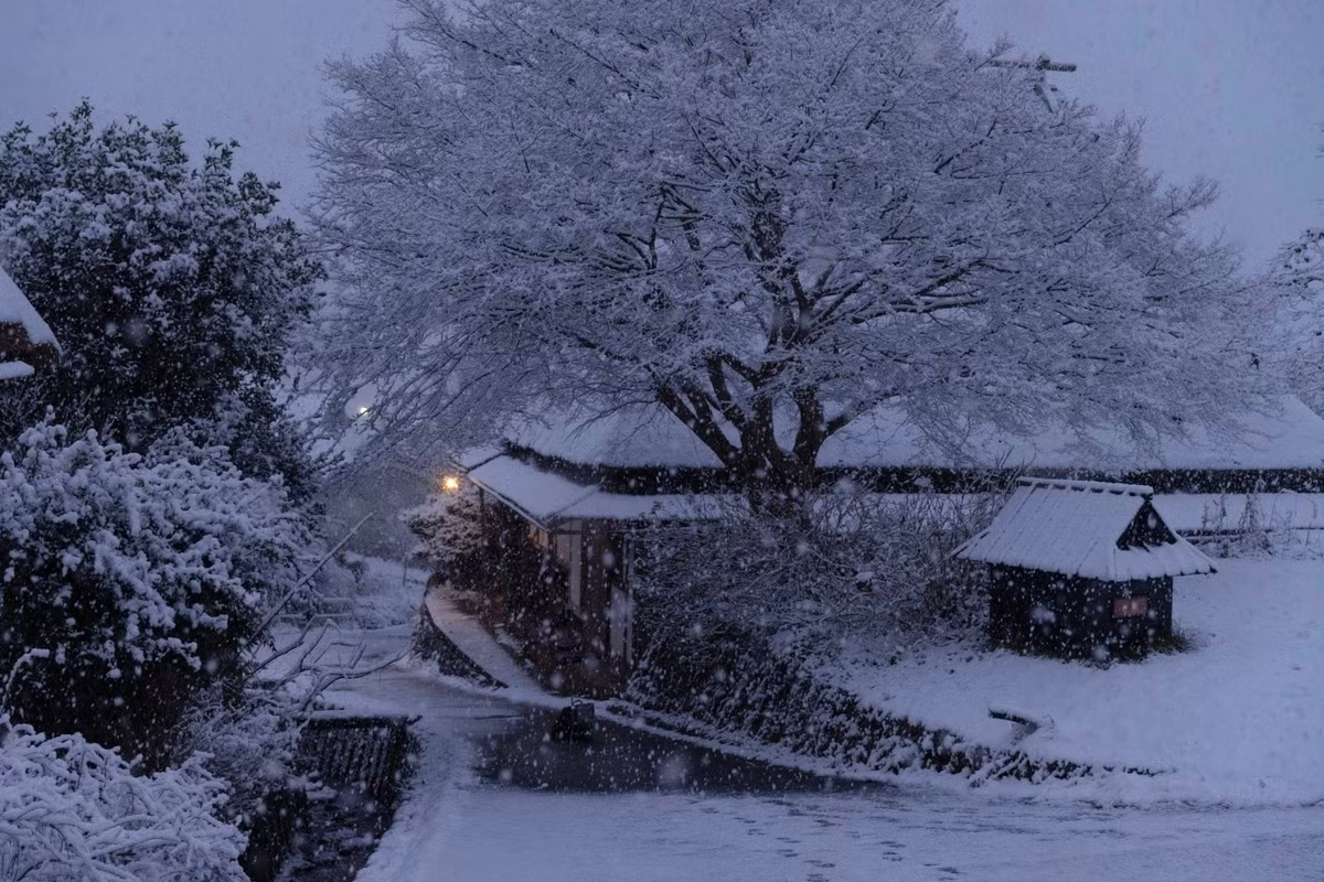 Điểm nhấn đặc biệt của Kayabuki no Sato vào mùa đông là lễ hội đèn lồng tuyết (Snow Lantern Festival), thường diễn ra vào cuối tháng 1 hoặc đầu tháng 2. Hàng trăm chiếc đèn lồng tuyết được thắp sáng khắp làng khi màn đêm buông xuống, tạo nên không gian lung linh, huyền ảo. Đây cũng là thời điểm lượng du khách tăng cao, nhất là những người yêu nhiếp ảnh và trải nghiệm văn hóa bản địa.