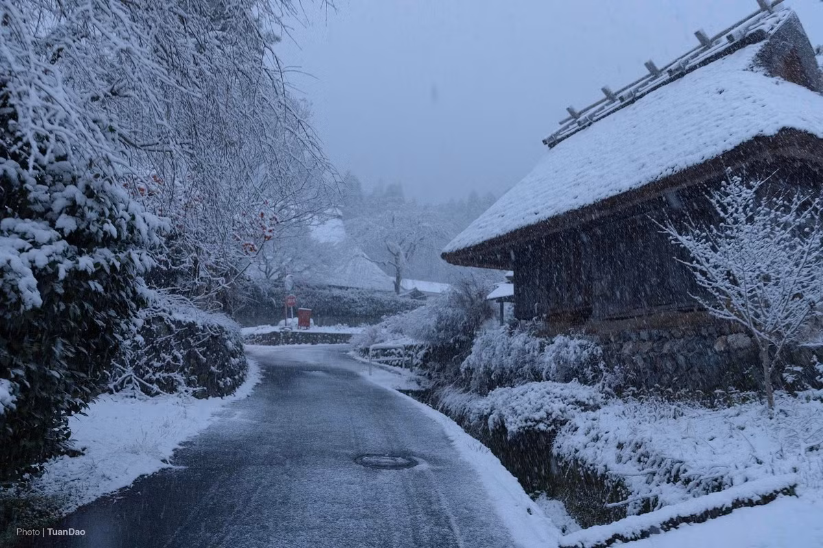Ngoài ra, nhiều tour kết hợp Kayabuki no Sato với các điểm nổi tiếng lân cận như Amanohashidate – một trong “Tam đại danh thắng Nhật Bản” – hoặc làng chài Ine Funaya. Các tour dạng này có lịch trình dày hơn, kéo dài gần trọn ngày, giá thường từ 1,4–2,5 triệu đồng/người, phù hợp với du khách muốn tham quan nhiều điểm trong cùng một hành trình.