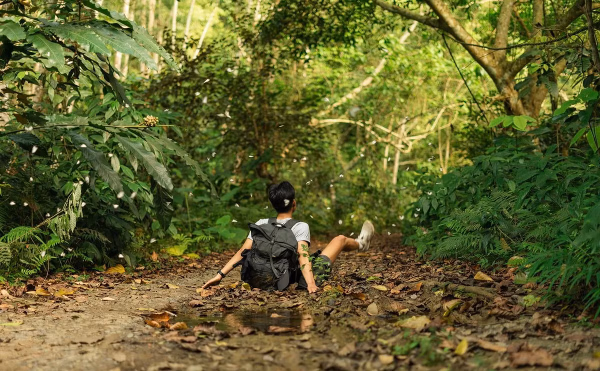 Tùy vào thể lực và thời gian, du khách có thể chọn cung 6km hoặc 10km. Trong đó, cung dài hơn được ưa chuộng nhờ có nhiều cảnh quan đặc sắc và trải nghiệm phong phú hơn. Suốt hành trình dài 4–5 giờ, du khách sẽ băng qua rừng rậm nguyên sinh, vượt qua các đỉnh núi như Áng Vắt, Mây Bầu, Áng Phay, hay chinh phục những dốc đá dựng đứng, nơi mọc đầy đá tai mèo phủ rêu trơn trượt. Ảnh Le Thanh Hien