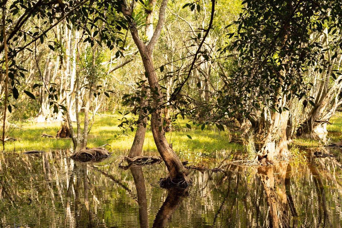 Tại đây, du khách có thể thuê xe đạp vòng quanh làng, trải nghiệm massage chân bằng cá – một dịch vụ đặc trưng thú vị của người dân địa phương, hoặc thưởng thức các món ăn đậm chất biển như cá kho, mực xào, rau rừng xào tỏi... Ảnh Le Thanh Hien