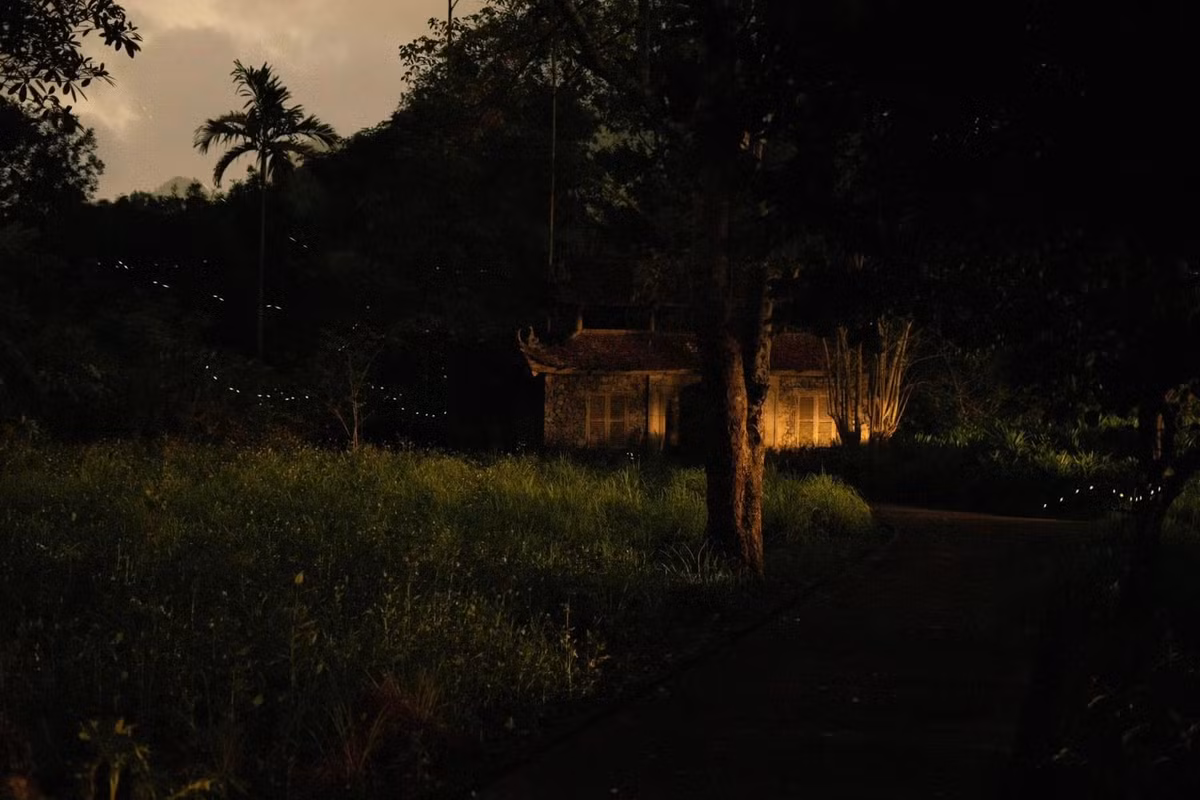 Trên đường đi, du khách còn có cơ hội ghé thăm một số điểm nổi bật như đỉnh Ngự Lâm, Ao Ếch – nơi sinh sống của nhiều loài lưỡng cư quý hiếm, hay những thân cây cổ thụ với hình thù kỳ lạ nằm ẩn mình trong tán rừng rậm rạp. Ảnh Le Thanh Hien