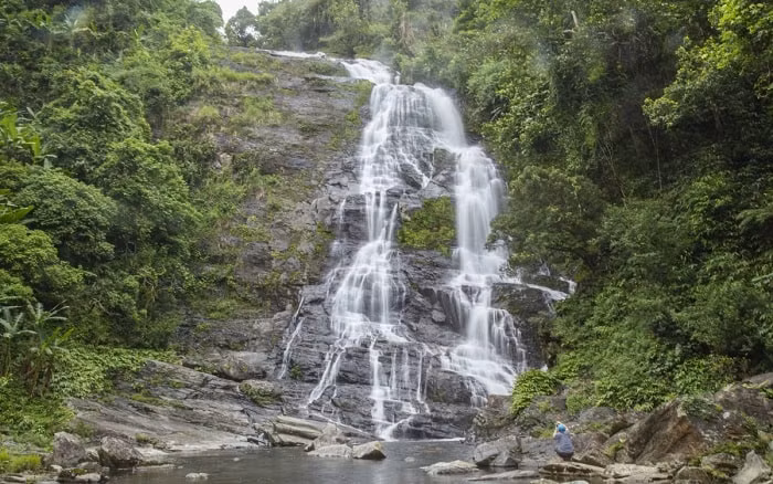 Âm thanh nước chảy róc rách hòa quyện cùng tiếng chim rừng, tạo nên một bản nhạc thiên nhiên khiến du khách không thể rời mắt. Không khí trong lành, mát mẻ của khu rừng nhiệt đới nguyên sinh càng làm tăng thêm vẻ đẹp kỳ vĩ của thác. Ảnh MIA