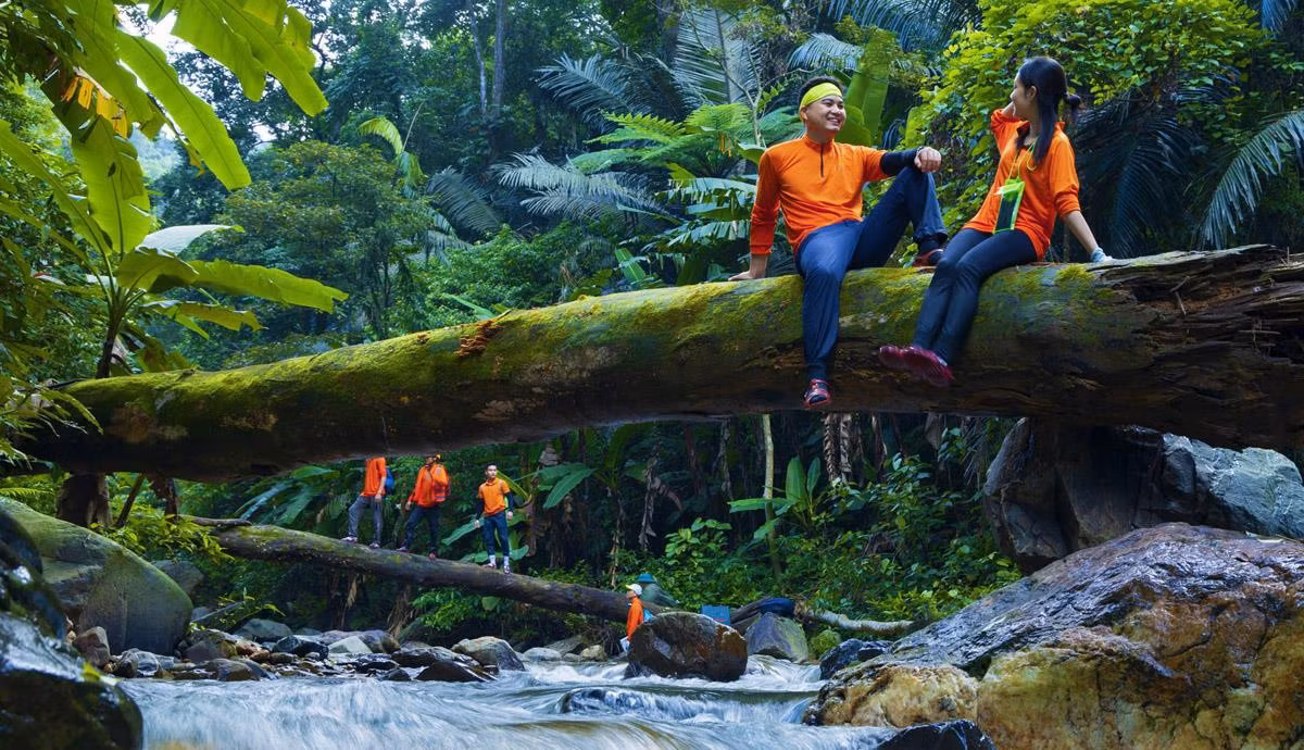 Khung cảnh xung quanh thác Tóc Tiên càng thêm đặc biệt khi du khách đi qua khu rừng trúc rậm rạp. Những cây trúc cao vút, thân mảnh mai như những chiến binh đứng canh gác dọc đường đi khiến không gian trở nên huyền bí, mang đậm chất cổ tích. Ánh nắng xuyên qua các tán lá trúc, đổ bóng xuống con đường mòn uốn lượn, tạo nên khung cảnh vừa lãng mạn lại vừa kỳ bí.