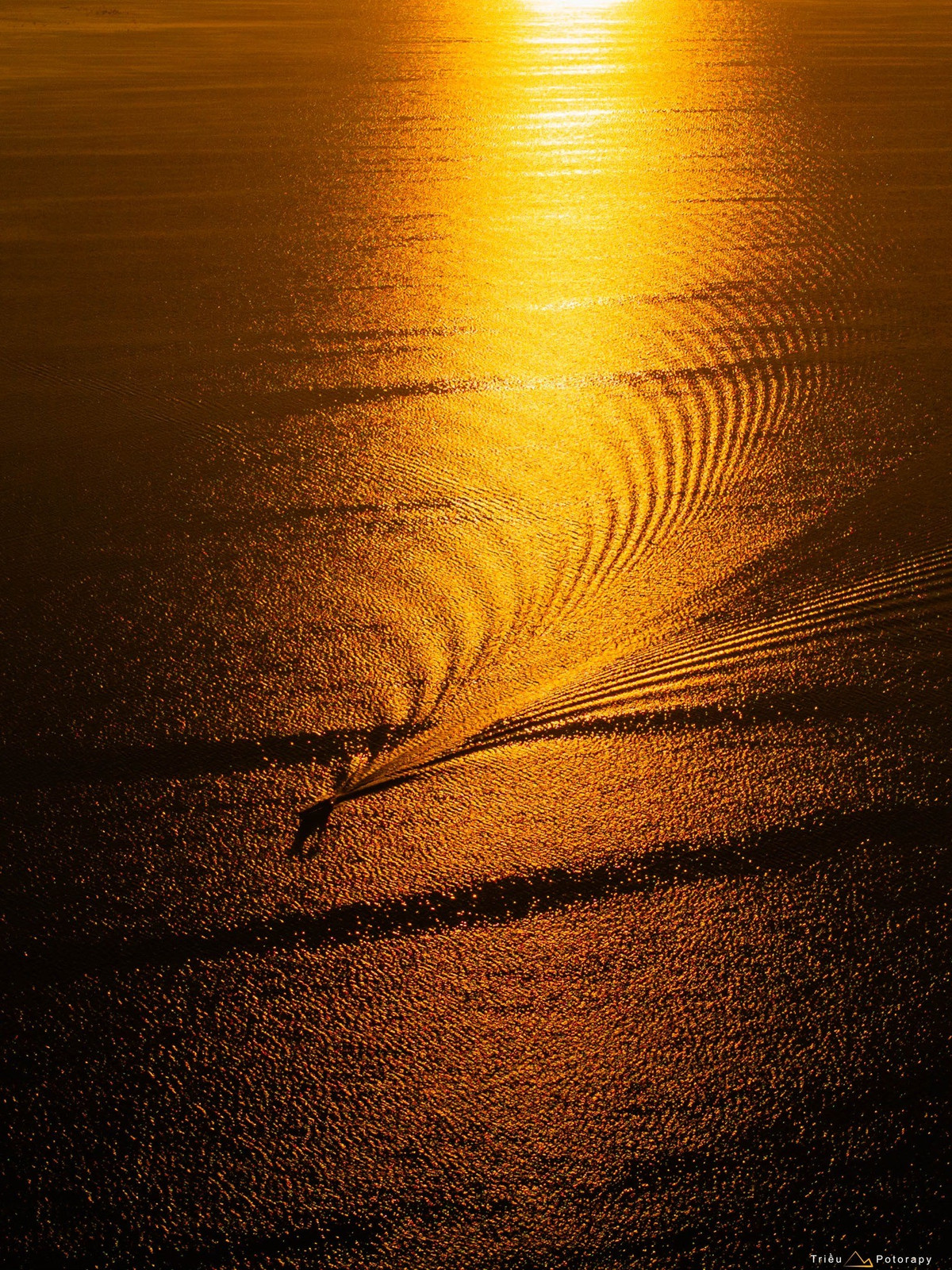 Đến hồ Dầu Tiếng, du khách có thể thuê thuyền của người dân địa phương để dạo quanh lòng hồ, khám phá những hòn đảo nhỏ còn nguyên nét tự nhiên. Ngồi trên thuyền, phóng tầm mắt ra xa, lắng nghe tiếng gió và sóng nước, mọi mệt mỏi dường như tan biến, nhường chỗ cho cảm giác thư thái hiếm có.