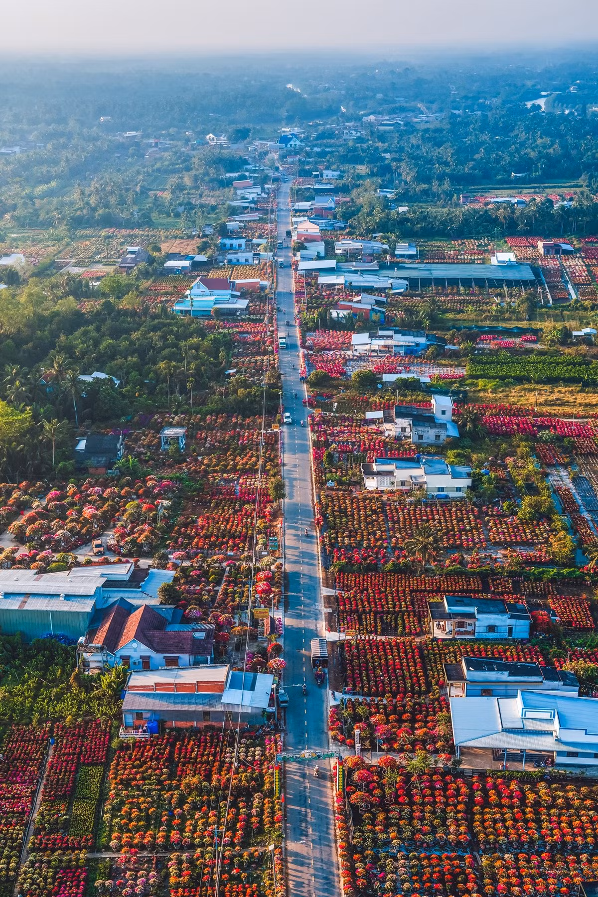 Hoa giấy được ưa chuộng nhờ khả năng chịu mặn tốt, hoa dày, bền màu và lâu tàn. Trong quan niệm ngày Tết, loài hoa này còn mang ý nghĩa bình yên, sung túc và bền bỉ, vì thế ngày càng được nhiều gia đình lựa chọn để trang trí nhà cửa mỗi dịp năm mới. Ảnh Khánh Phan