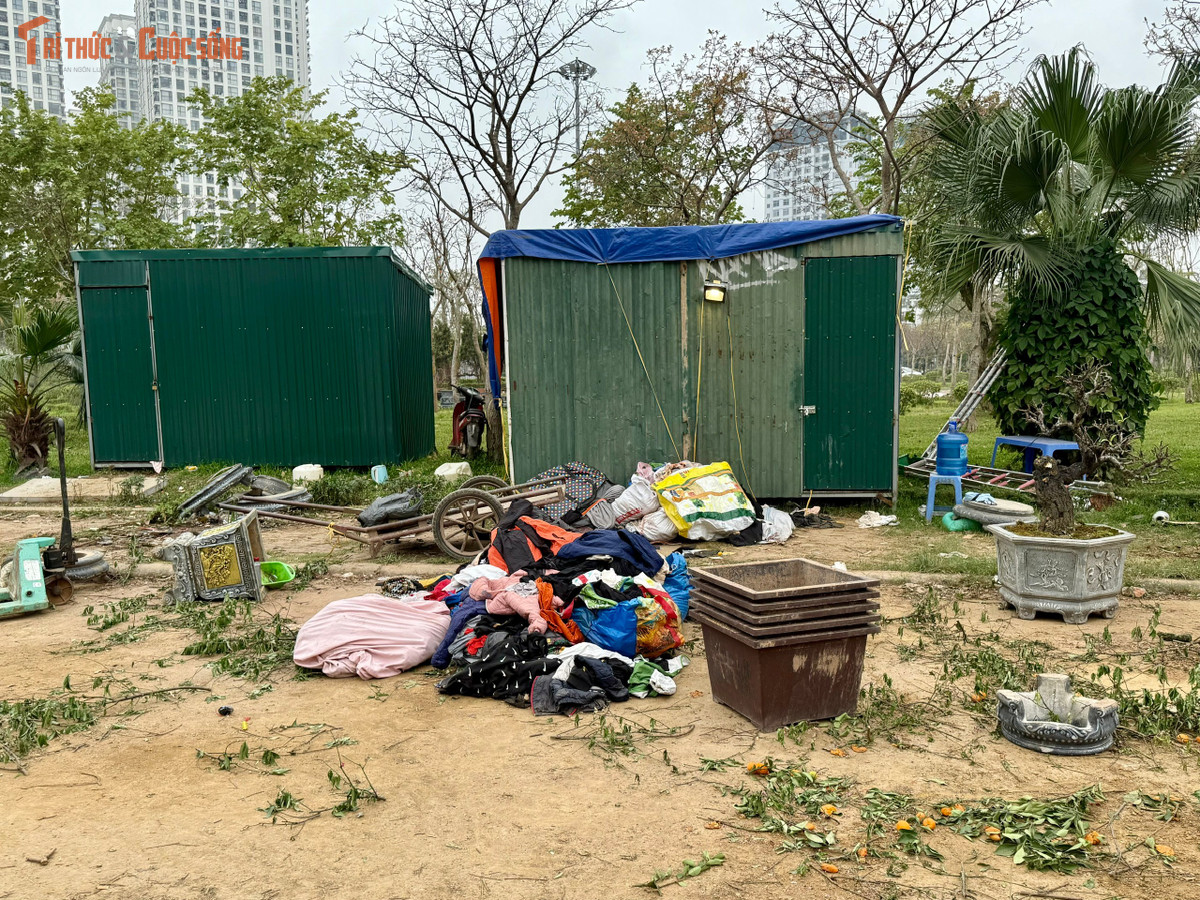 Thùng xốp, bao bì, đất trồng, cành cây cùng nhiều vật dụng của tiểu thương vẫn nằm rải rác khắp khu vực.