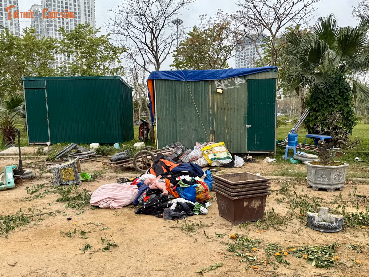 Thùng xốp, bao bì, đất trồng, cành cây cùng nhiều vật dụng của tiểu thương vẫn nằm rải rác khắp khu vực.