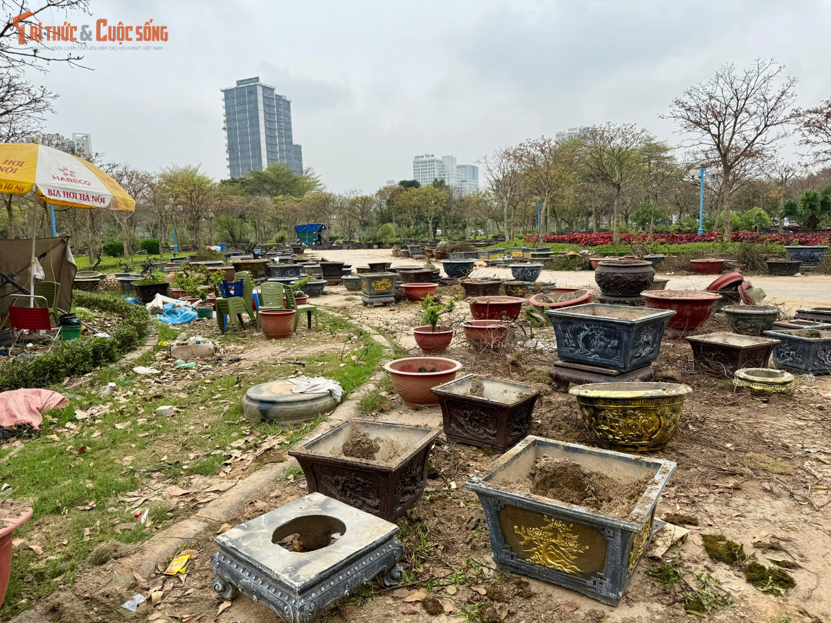 Đáng chú ý, sau dịp chợ hoa Tết được tổ chức tại đây, nhiều loại rác thải vẫn chưa được thu dọn triệt để.