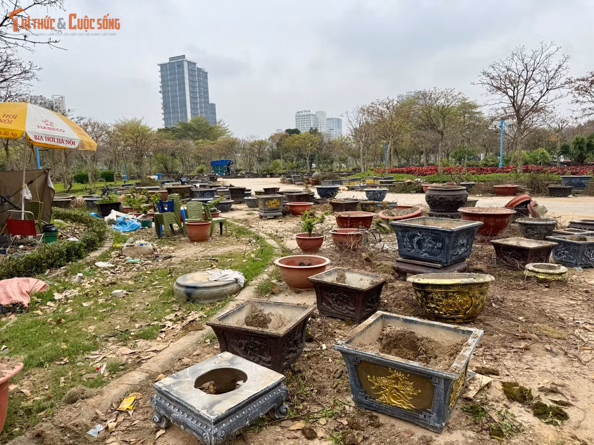 Đáng chú ý, sau dịp chợ hoa Tết được tổ chức tại đây, nhiều loại rác thải vẫn chưa được thu dọn triệt để.