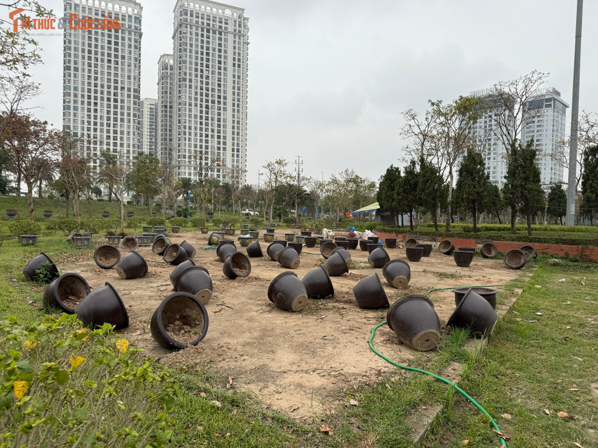 Nhiều bồn cây, chậu cảnh bị bỏ lại ngổn ngang, thậm chí bị lật nghiêng trong khuôn viên vườn hoa.