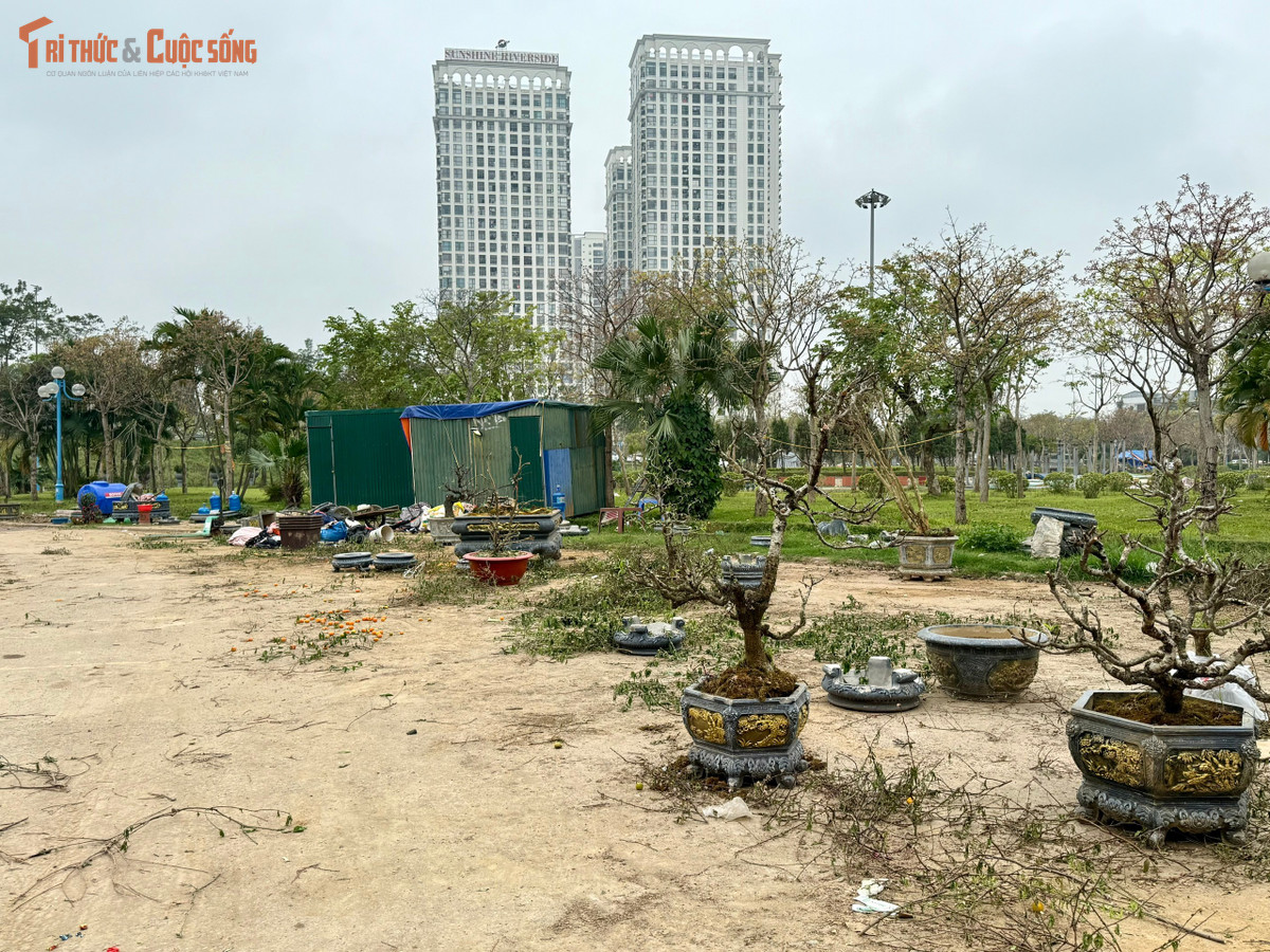 Với vị trí nằm tại cửa ngõ quan trọng của Thủ đô - nơi nhiều du khách quốc tế và người dân đi qua trên hành trình từ sân bay Nội Bài vào trung tâm thành phố thực trạng nhếch nhác tại vườn hoa Nhật Tân khiến hình ảnh đô thị phần nào kém đẹp.