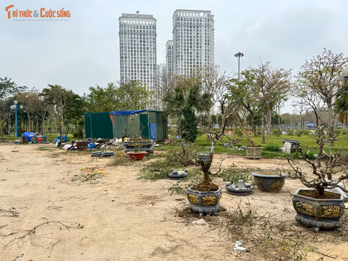 Với vị trí nằm tại cửa ngõ quan trọng của Thủ đô - nơi nhiều du khách quốc tế và người dân đi qua trên hành trình từ sân bay Nội Bài vào trung tâm thành phố thực trạng nhếch nhác tại vườn hoa Nhật Tân khiến hình ảnh đô thị phần nào kém đẹp.