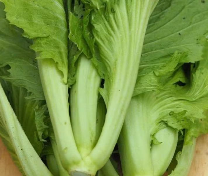 Cải bẹ xanh, còn gọi là cải cay hay cải đắng, thuộc họ cải Brassica juncea, được trồng phổ biến ở khắp các vùng quê Việt Nam. Ảnh minh họa