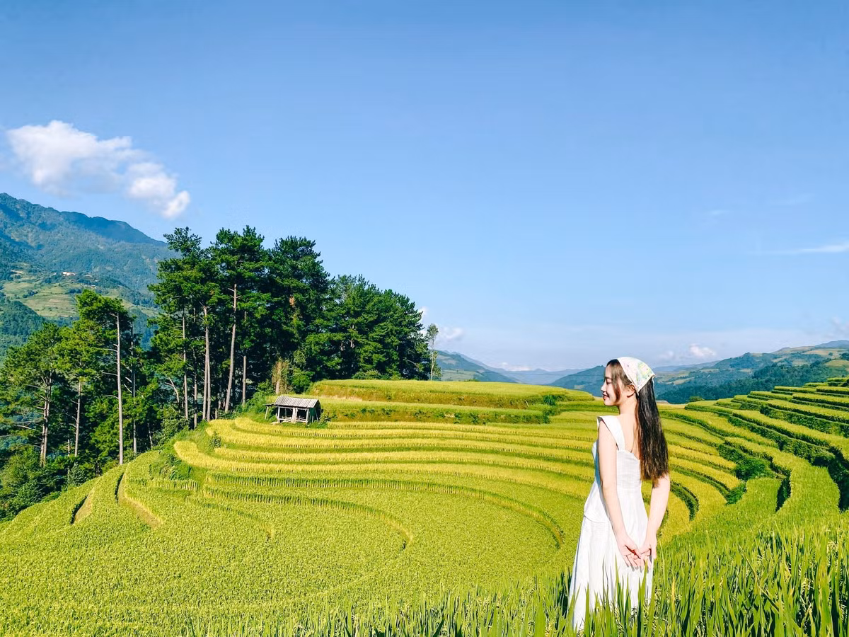 Leo 800 bậc thang lên đỉnh Chiêu Lầu Thi, biển mây bồng bềnh hiện ra trước mắt khiến mọi mệt mỏi tan biến. Đêm đầu tiên, nhóm nghỉ tại Bản Phùng – “thiên đường ruộng bậc thang” của Hoàng Su Phì. Sáng hôm sau, mở cửa phòng là biển mây và ruộng vàng óng hiện ra ngay trước mắt, khoảnh khắc khiến ai cũng ngỡ ngàng. Ảnh Thẩm Ngọc Nguyễn